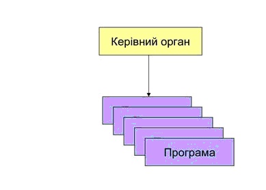 Програма структура влади